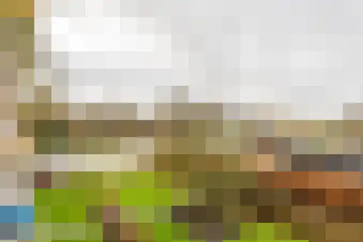 Nicolaas Beetsstraat 115 Groningen thumbnail 34
