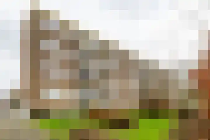 Nicolaas Beetsstraat 115 Groningen thumbnail 42