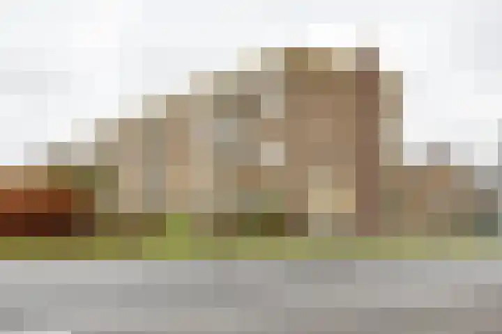 Nicolaas Beetsstraat 115 Groningen thumbnail 43