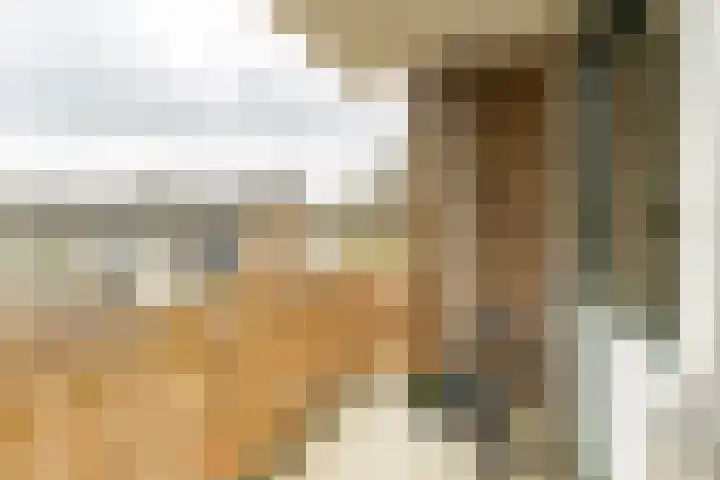 Nicolaas Beetsstraat 115 Groningen thumbnail 5