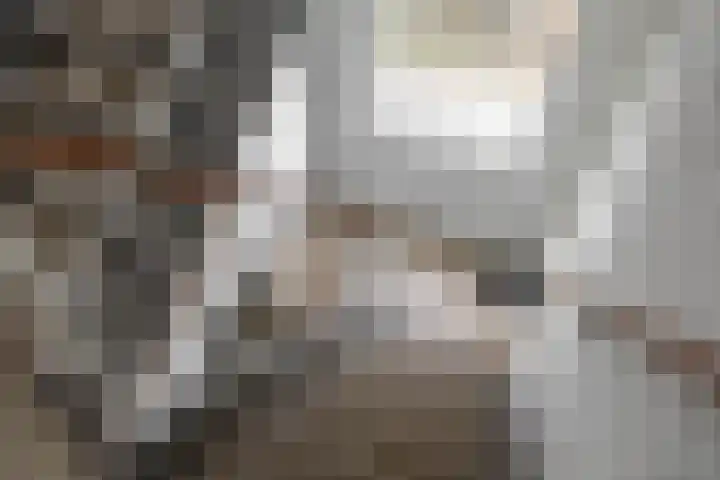 Nicolaas Beetsstraat 115 Groningen thumbnail 8