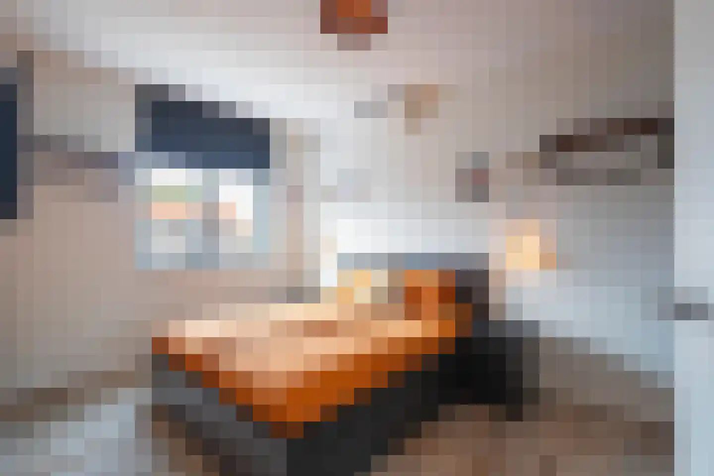 Nicolaas Beetsstraat 12 Heerlen thumbnail 11