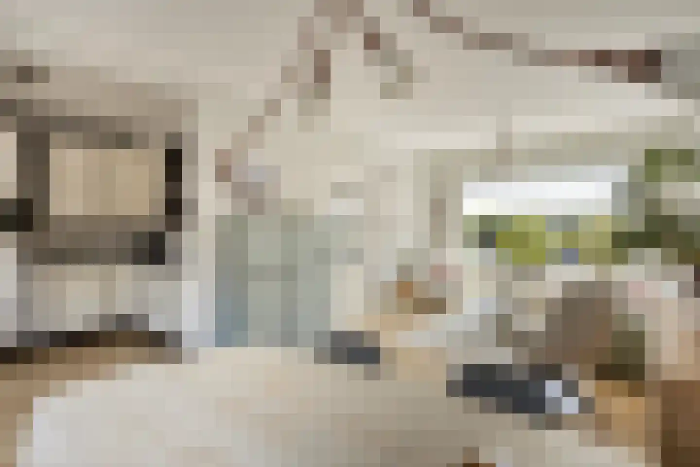 Nicolaas Beetsstraat 12 Kesteren thumbnail 5