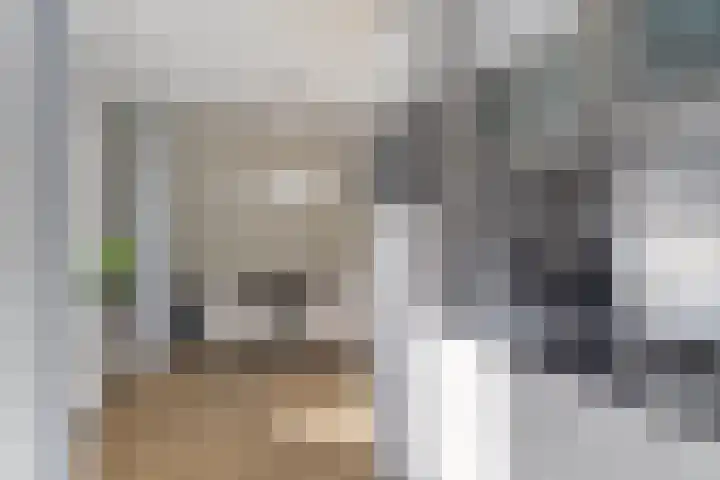 Nicolaas Beetsstraat 12 Zuidbroek thumbnail 22