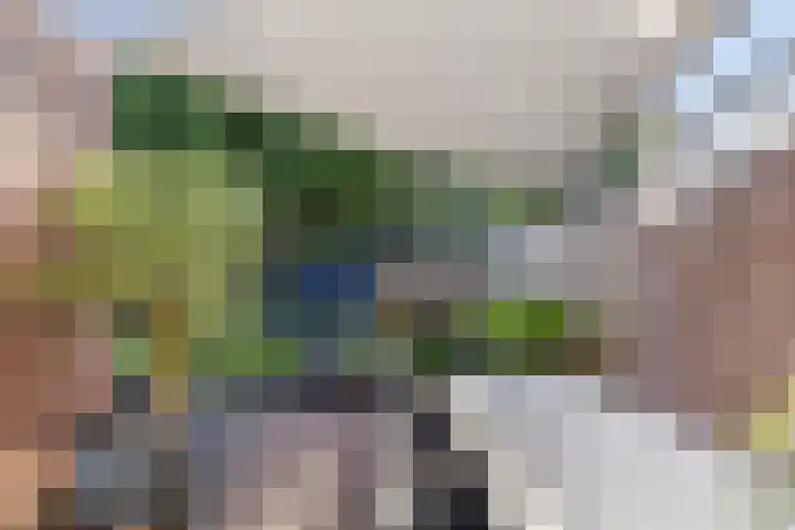 Nicolaas Beetsstraat 12 Zuidbroek thumbnail 37