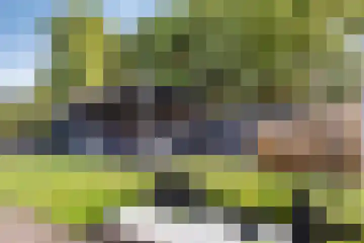 Nicolaas Beetsstraat 12 Zuidbroek thumbnail 39