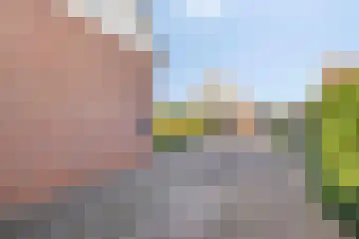 Nicolaas Beetsstraat 12 Zuidbroek thumbnail 8