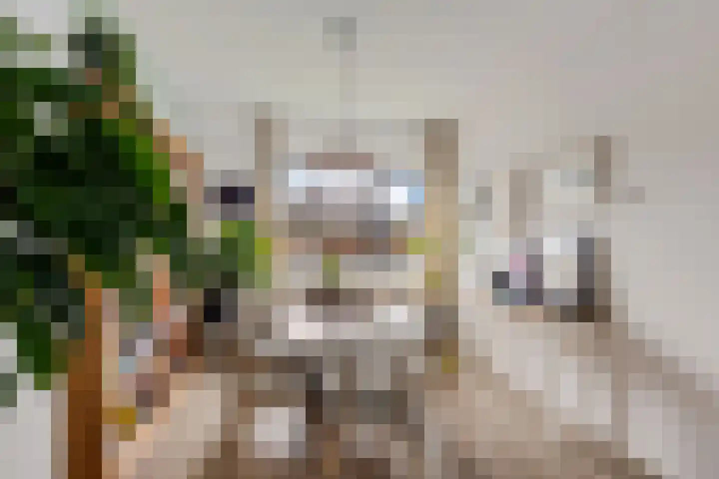 Nicolaas Beetsstraat 125 Groningen thumbnail 15
