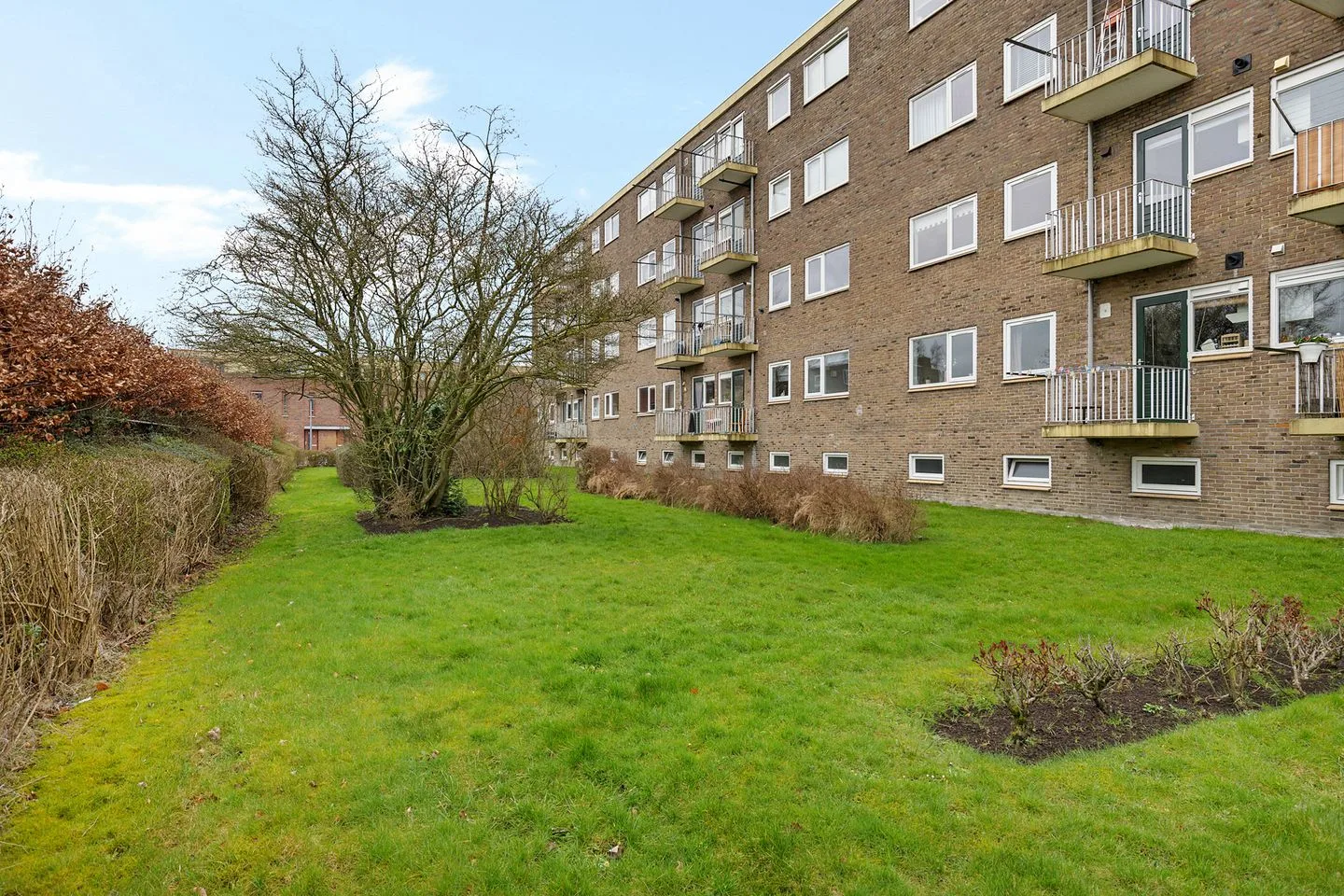 Nicolaas Beetsstraat 125 Groningen thumbnail 29