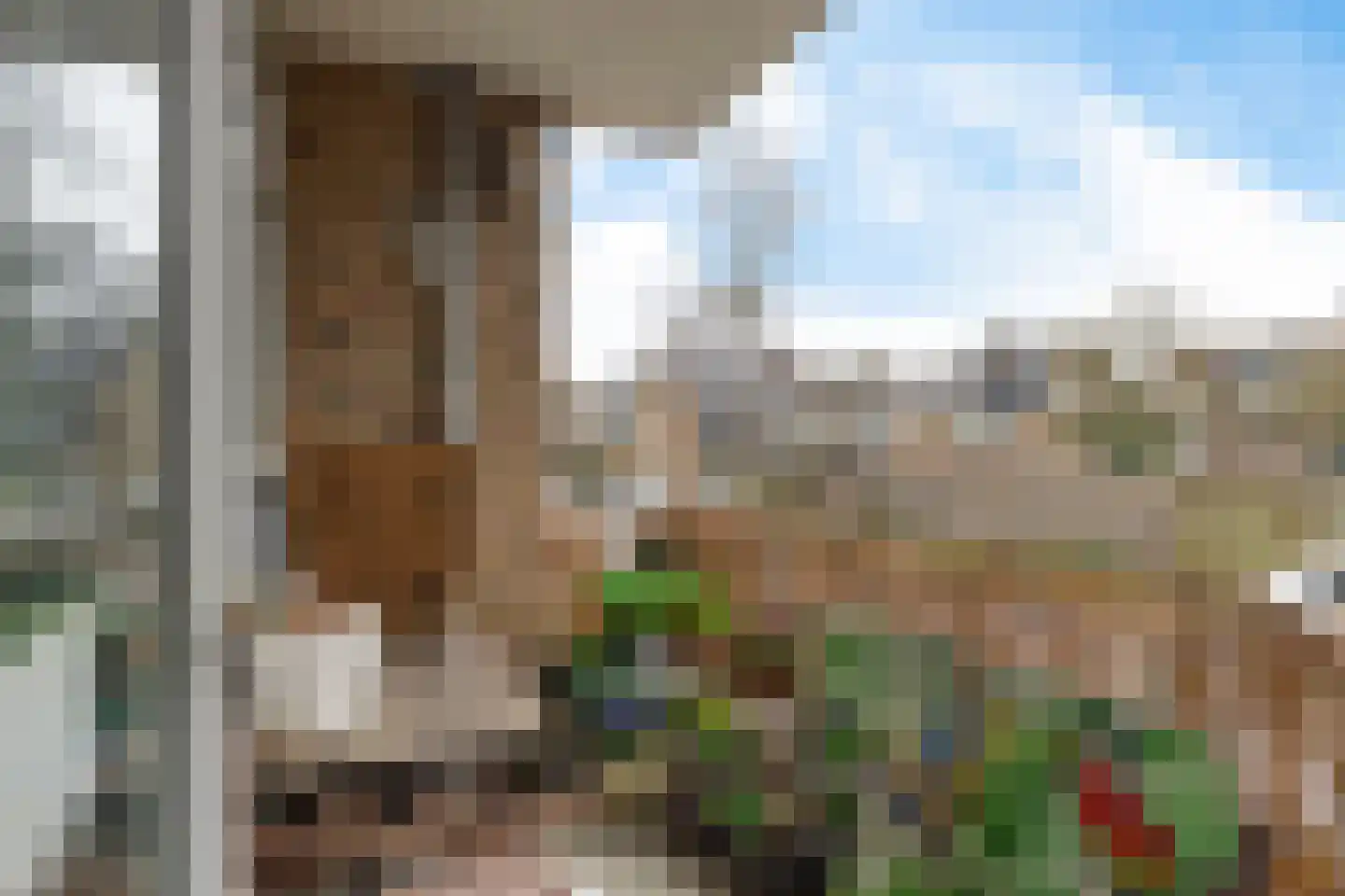 Nicolaas Beetsstraat 125 Groningen thumbnail 5