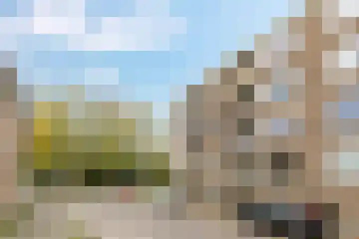 Nicolaas Beetsstraat 135 Groningen thumbnail 33