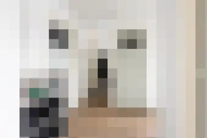 Nicolaas Beetsstraat 135 Groningen thumbnail 7