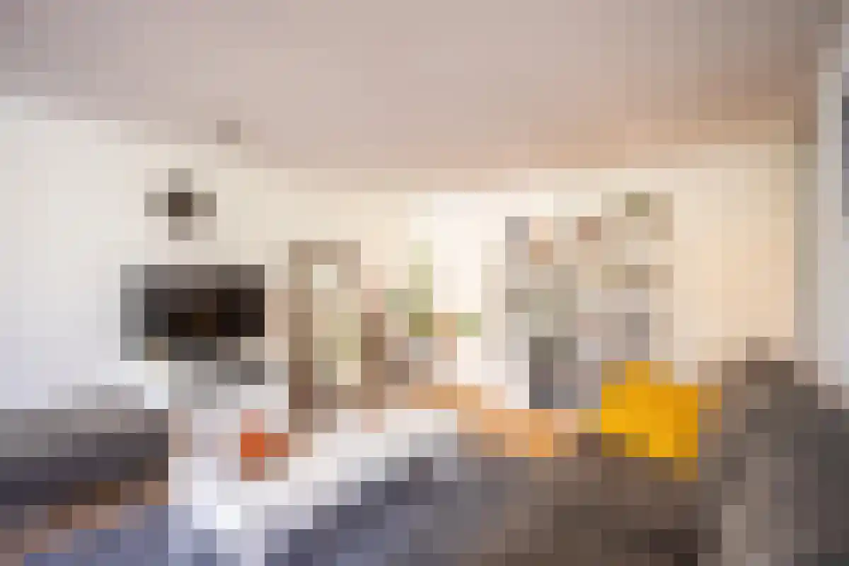 Nicolaas Beetsstraat 140 Utrecht thumbnail 5