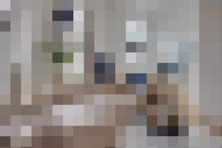 Nicolaas Beetsstraat 142 Utrecht thumbnail 10