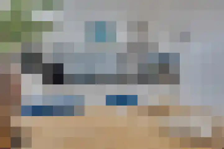 Nicolaas Beetsstraat 142 Utrecht thumbnail 13