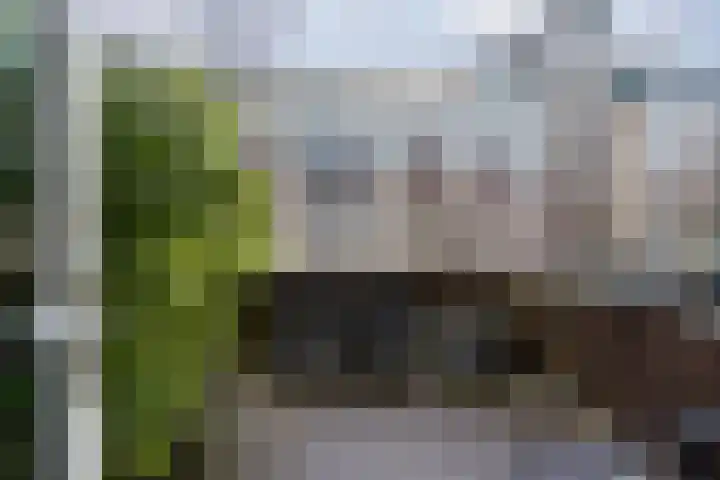 Nicolaas Beetsstraat 142 Utrecht thumbnail 16
