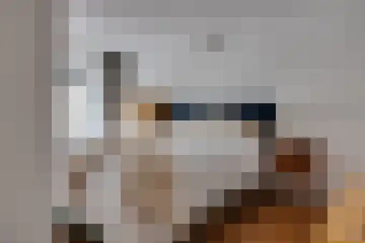 Nicolaas Beetsstraat 142 Utrecht thumbnail 20