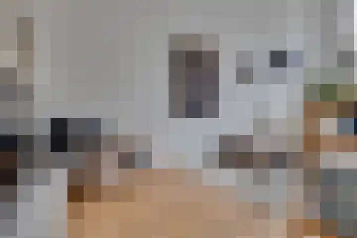 Nicolaas Beetsstraat 142 Utrecht thumbnail 8