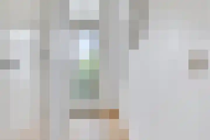 Nicolaas Beetsstraat 16 B Utrecht thumbnail 15