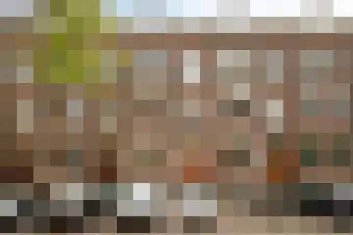 Nicolaas Beetsstraat 16 B Utrecht thumbnail 23