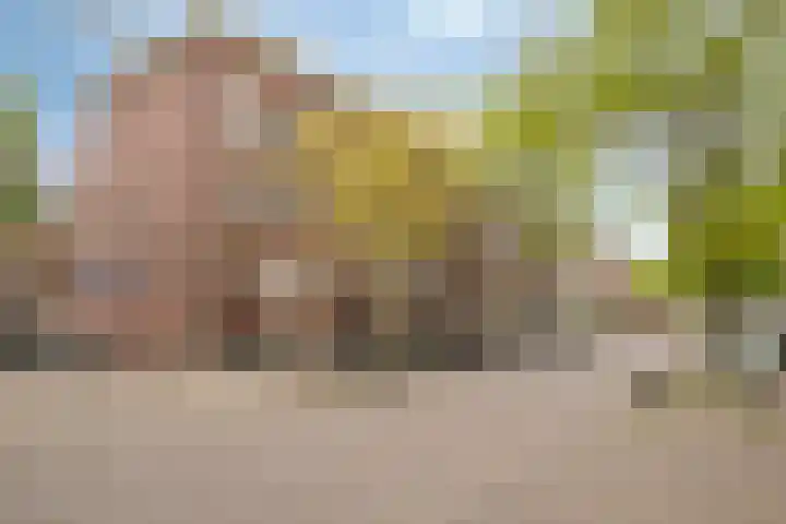 Nicolaas Beetsstraat 16 B Utrecht thumbnail 24