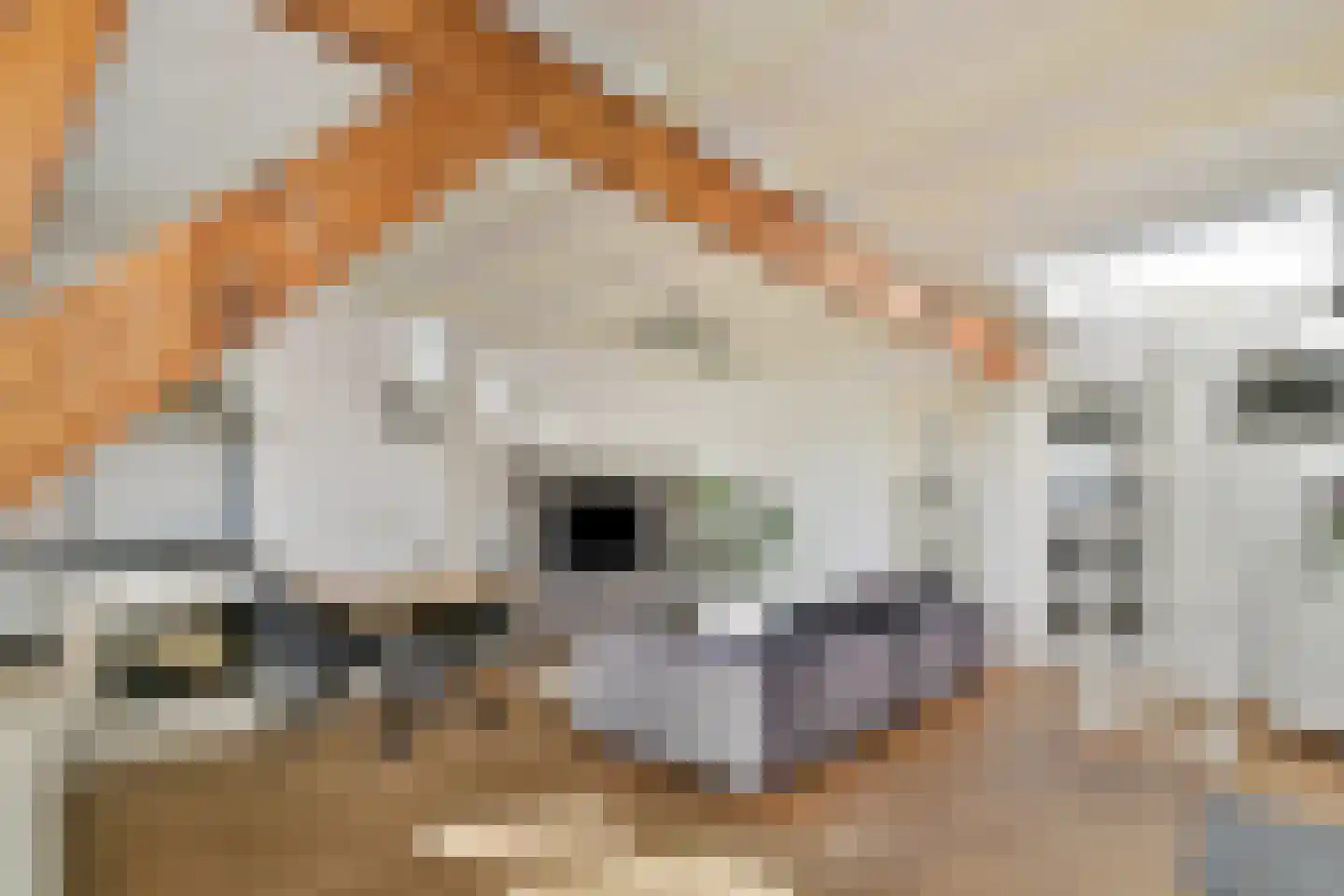 Nicolaas Beetsstraat 16 E Utrecht thumbnail 15