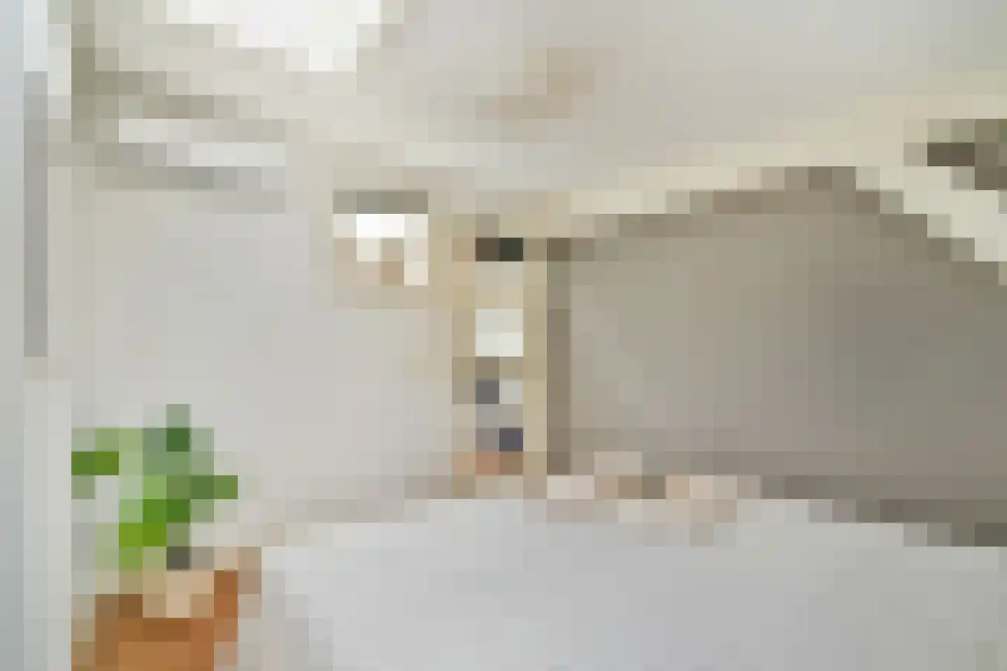 Nicolaas Beetsstraat 16 E Utrecht thumbnail 19