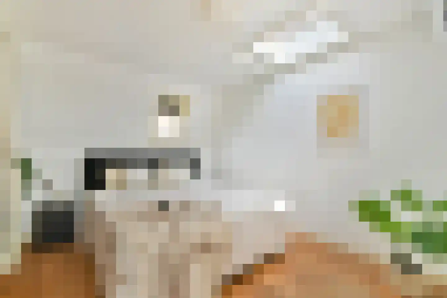 Nicolaas Beetsstraat 16 E Utrecht thumbnail 5