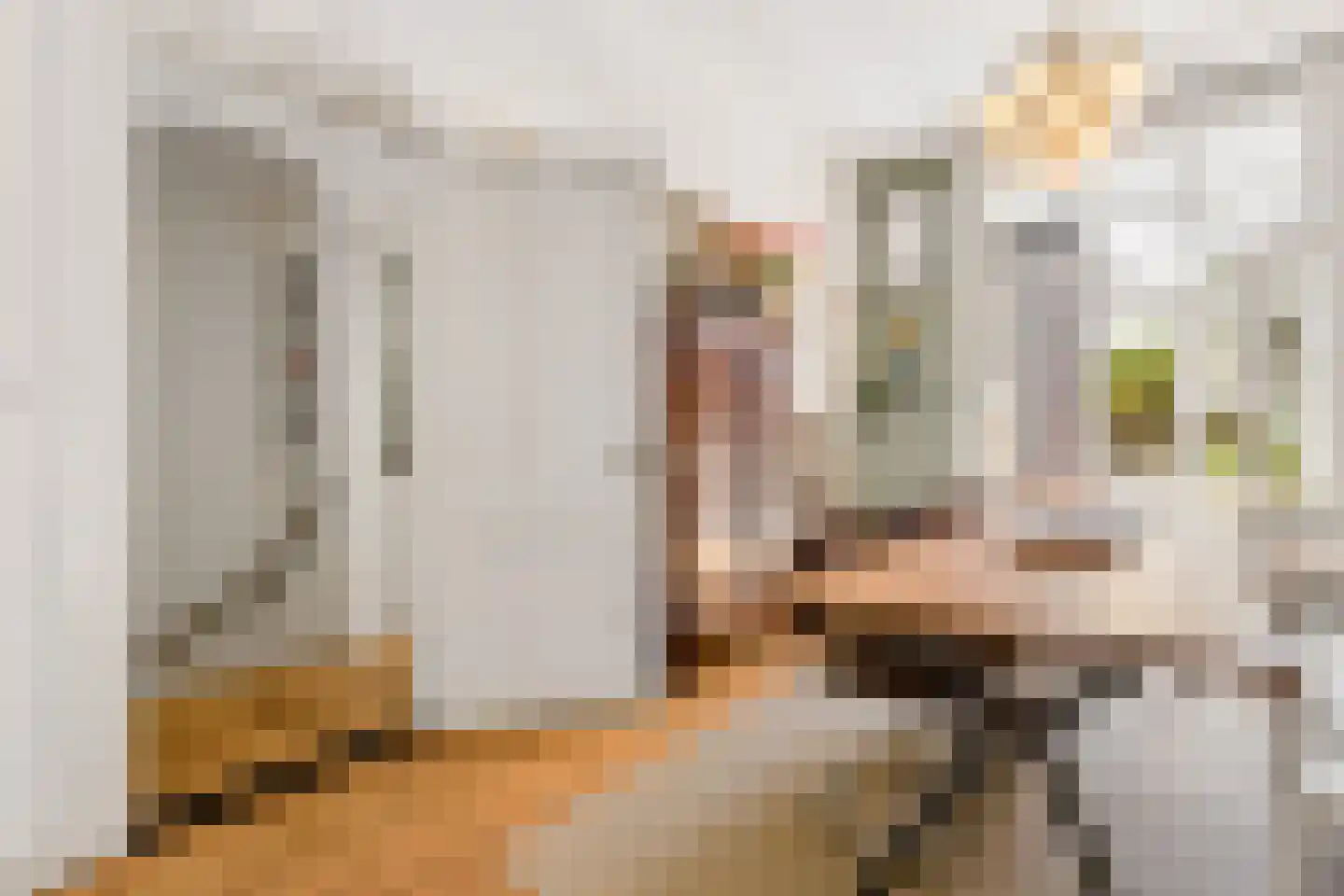 Nicolaas Beetsstraat 16 Utrecht thumbnail 10