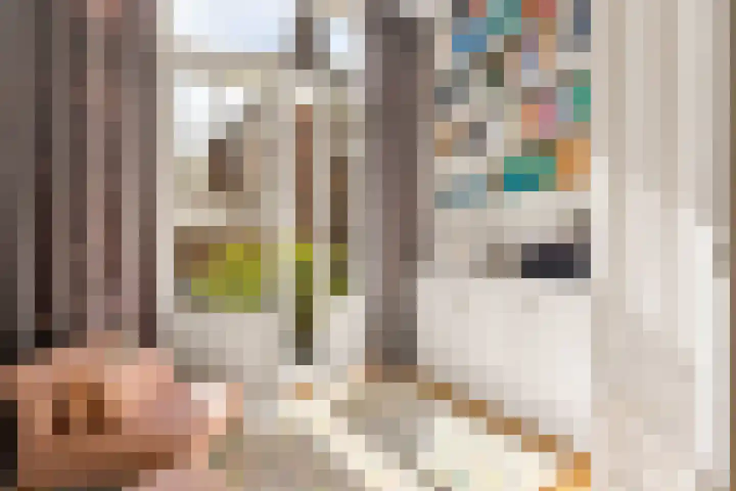 Nicolaas Beetsstraat 16 Utrecht thumbnail 16