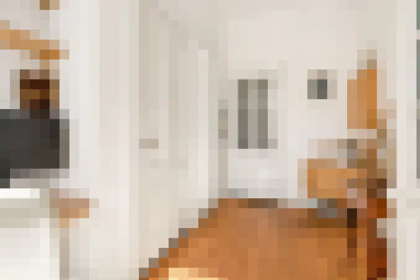 Nicolaas Beetsstraat 16 Utrecht thumbnail 20