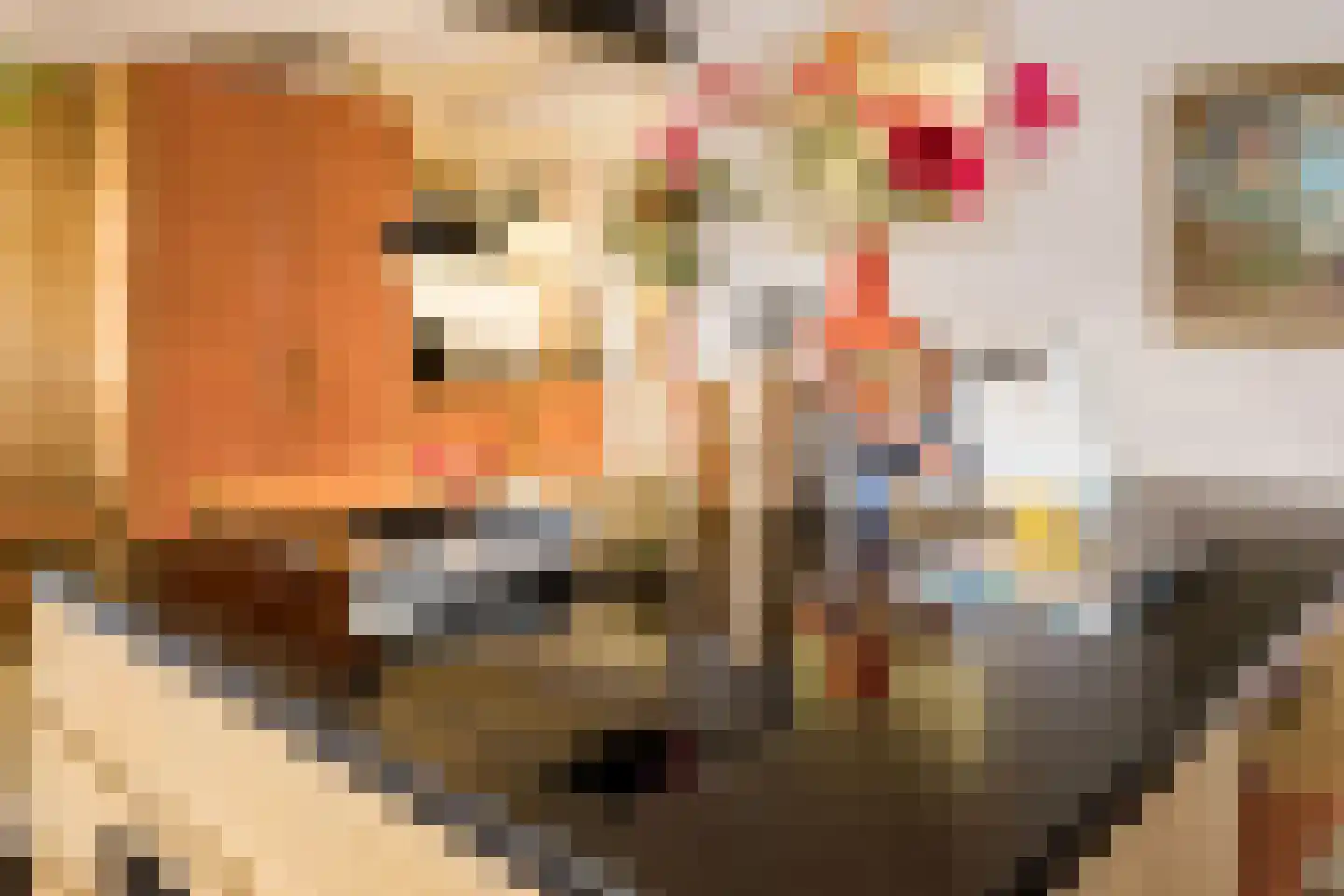 Nicolaas Beetsstraat 16 Utrecht thumbnail 28