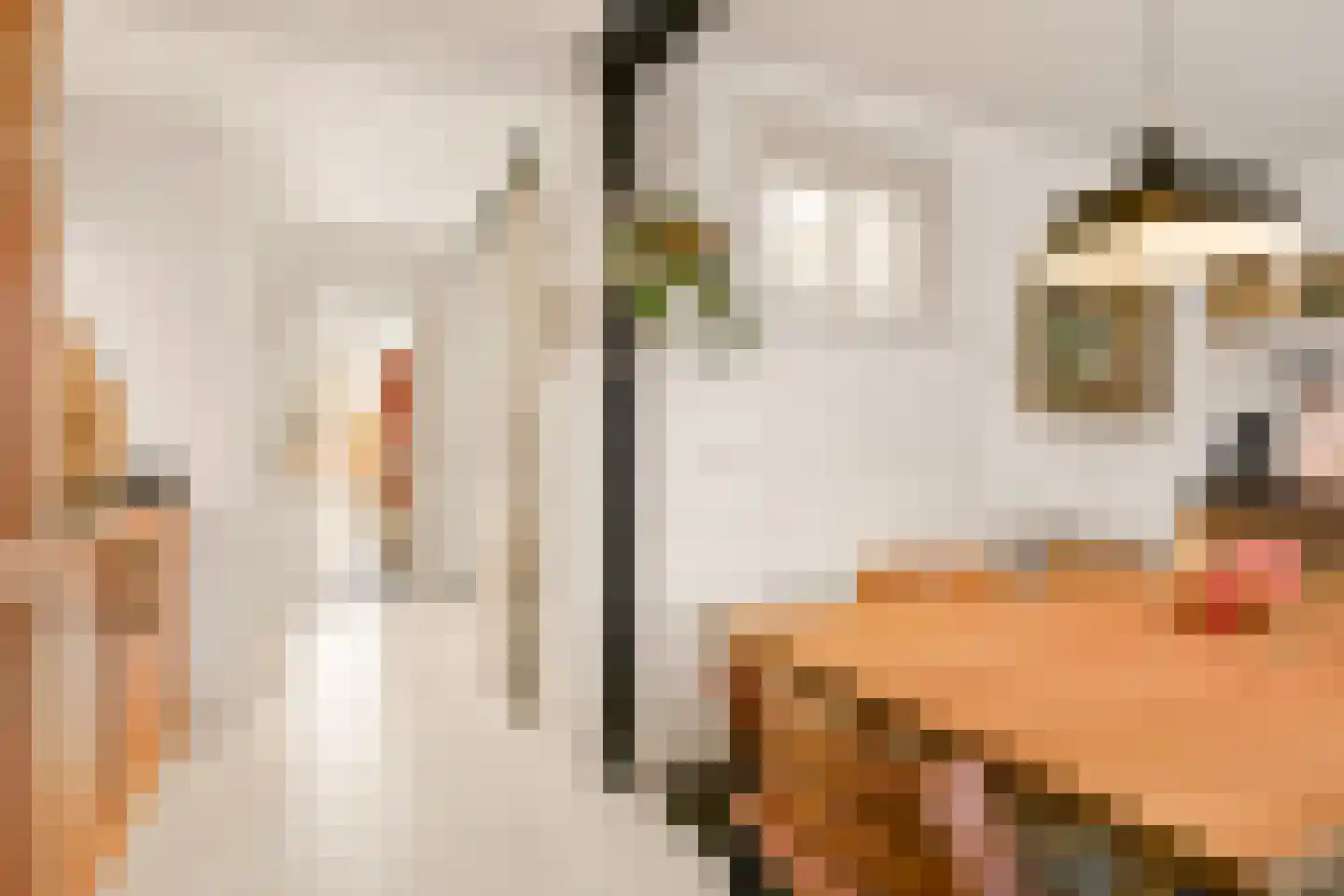 Nicolaas Beetsstraat 16 Utrecht thumbnail 33
