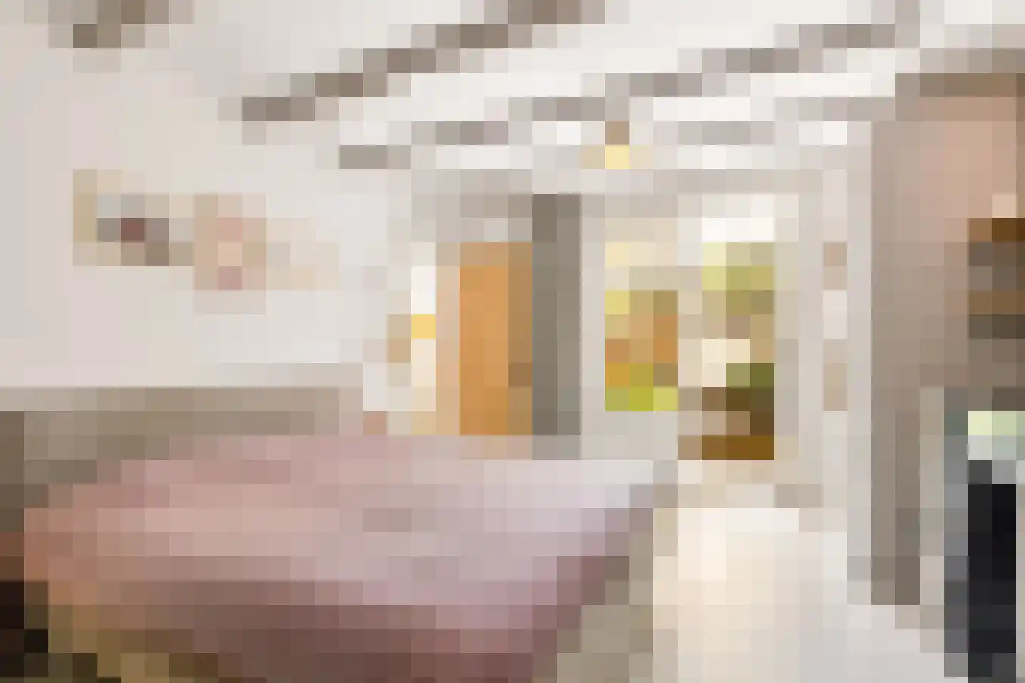 Nicolaas Beetsstraat 16 Utrecht thumbnail 35
