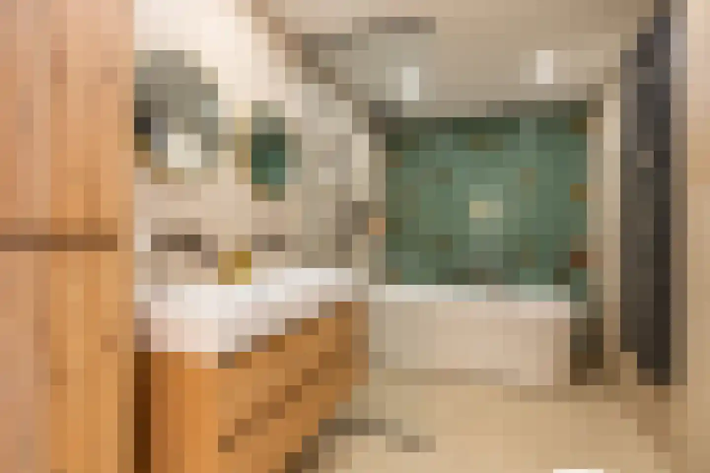 Nicolaas Beetsstraat 16 Utrecht thumbnail 43