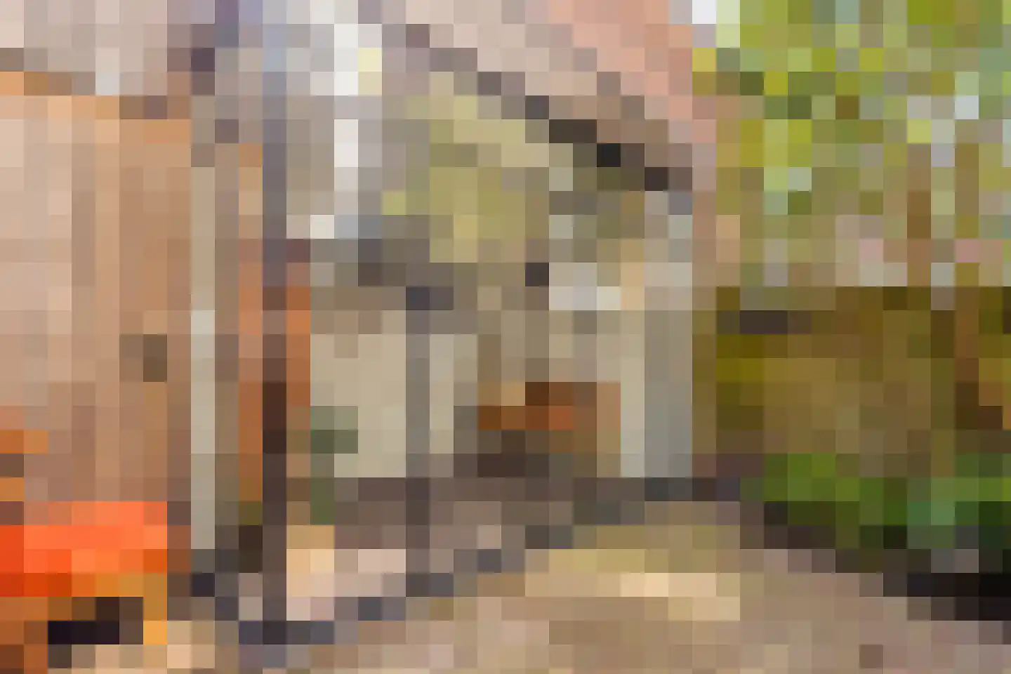 Nicolaas Beetsstraat 16 Utrecht thumbnail 46
