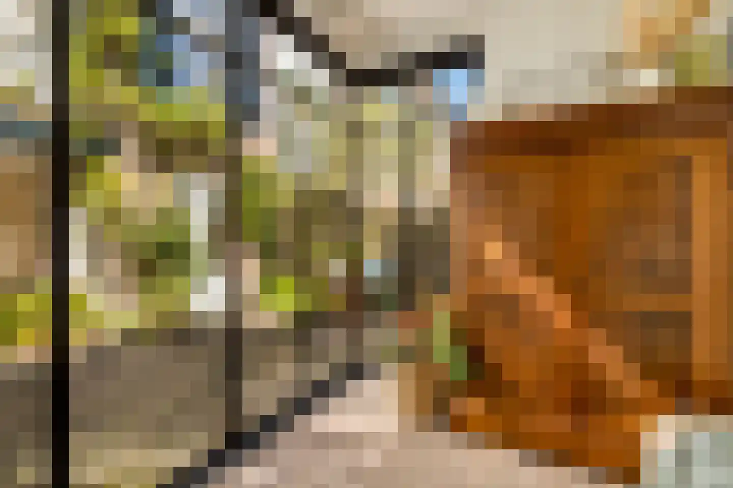 Nicolaas Beetsstraat 16 Utrecht thumbnail 47