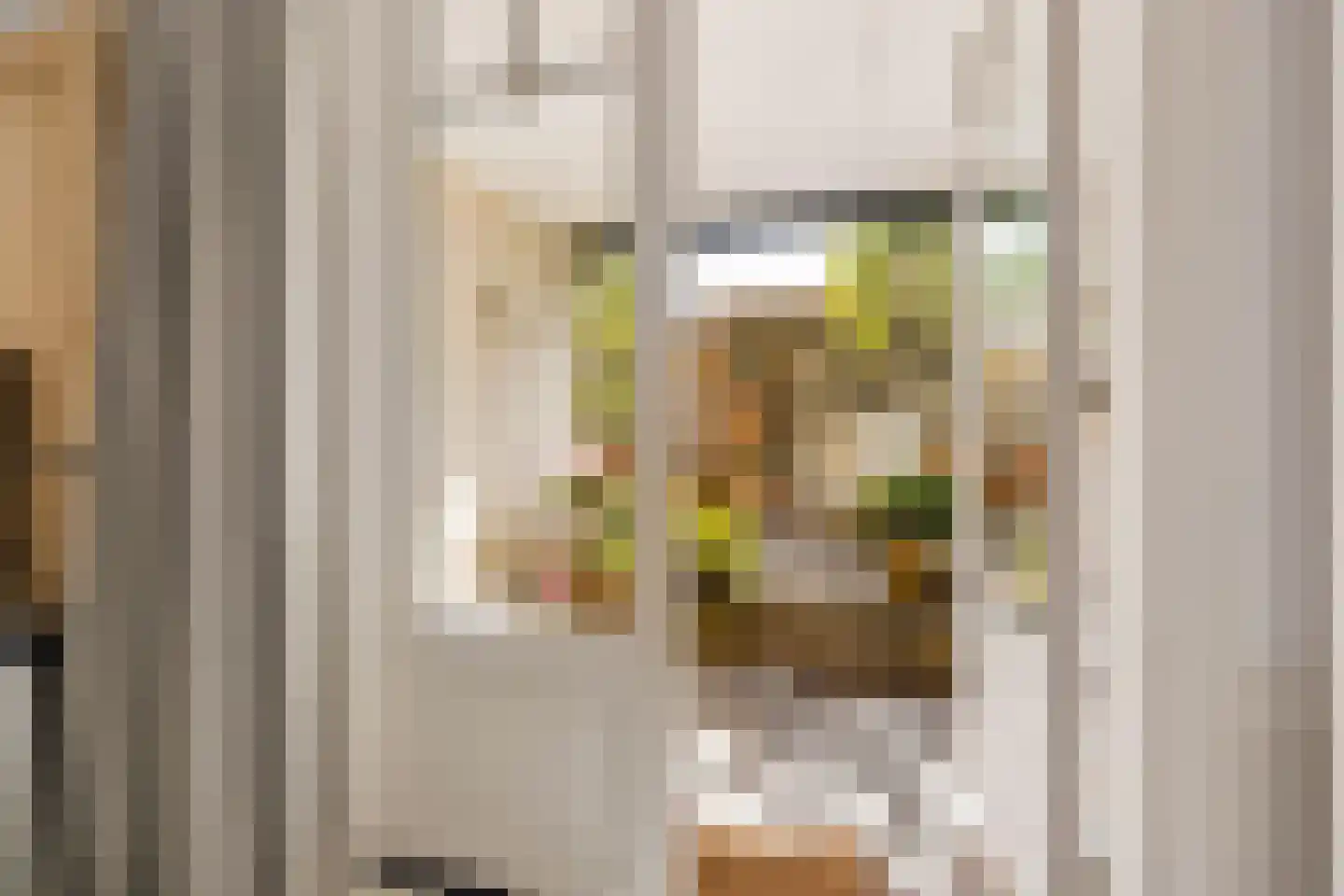Nicolaas Beetsstraat 16 Utrecht thumbnail 48