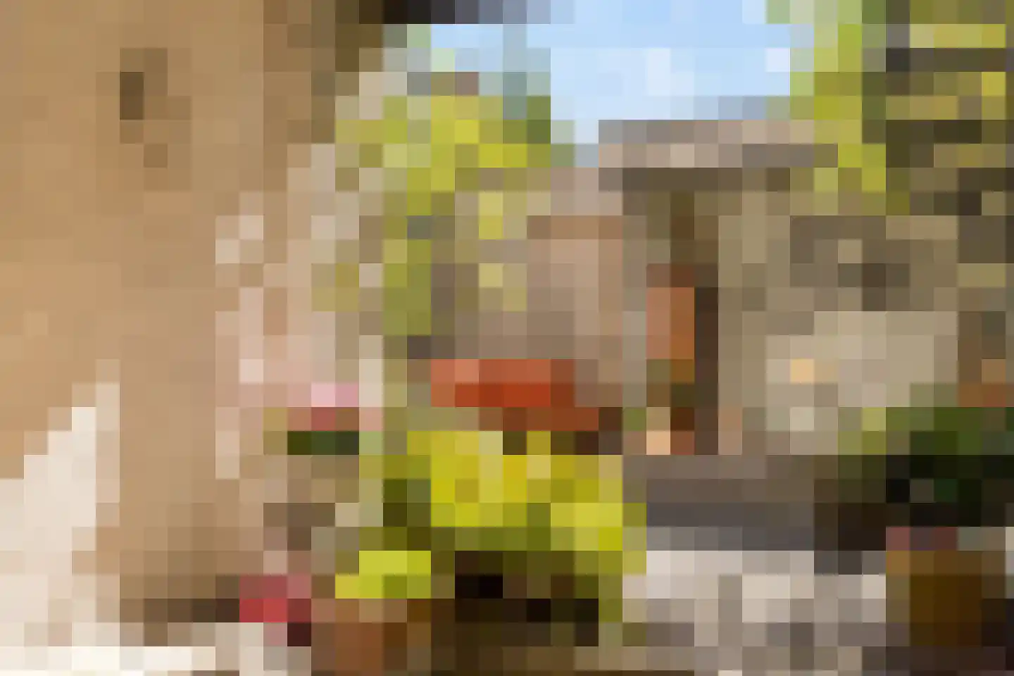 Nicolaas Beetsstraat 16 Utrecht thumbnail 50