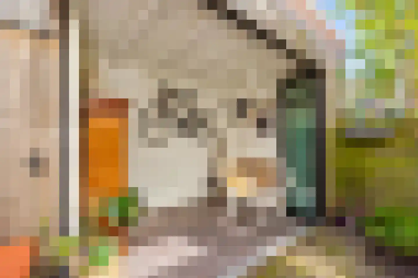 Nicolaas Beetsstraat 16 Utrecht thumbnail 51