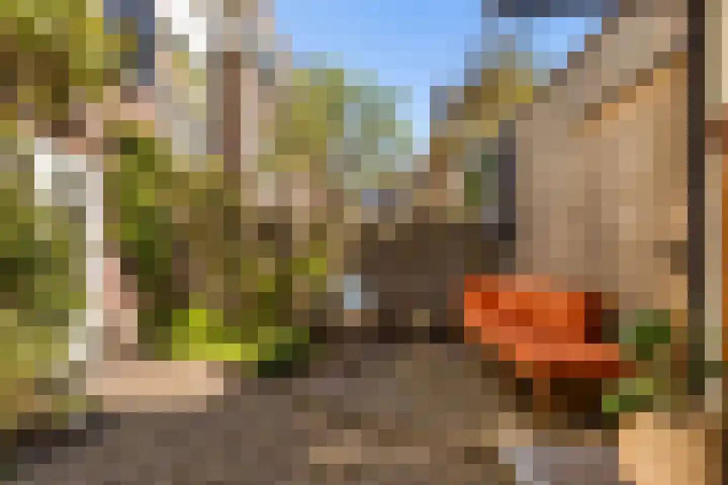 Nicolaas Beetsstraat 16 Utrecht thumbnail 52