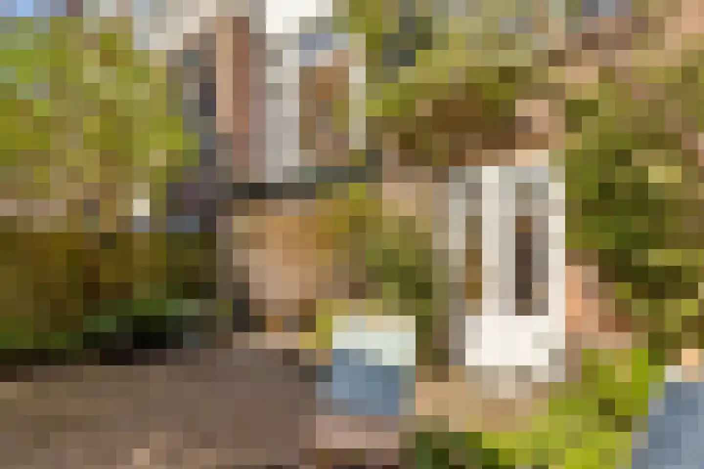 Nicolaas Beetsstraat 16 Utrecht thumbnail 54