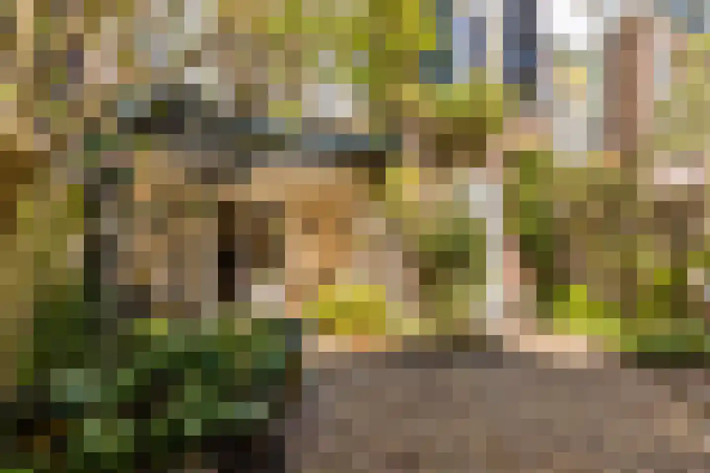 Nicolaas Beetsstraat 16 Utrecht thumbnail 55