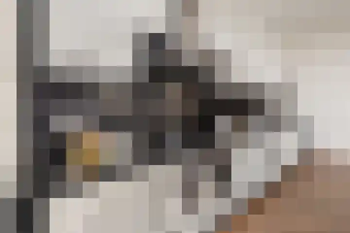 Nicolaas Beetsstraat 168 Utrecht thumbnail 12