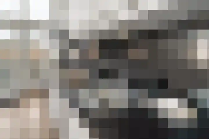 Nicolaas Beetsstraat 168 Utrecht thumbnail 14