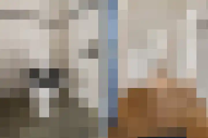 Nicolaas Beetsstraat 168 Utrecht thumbnail 24