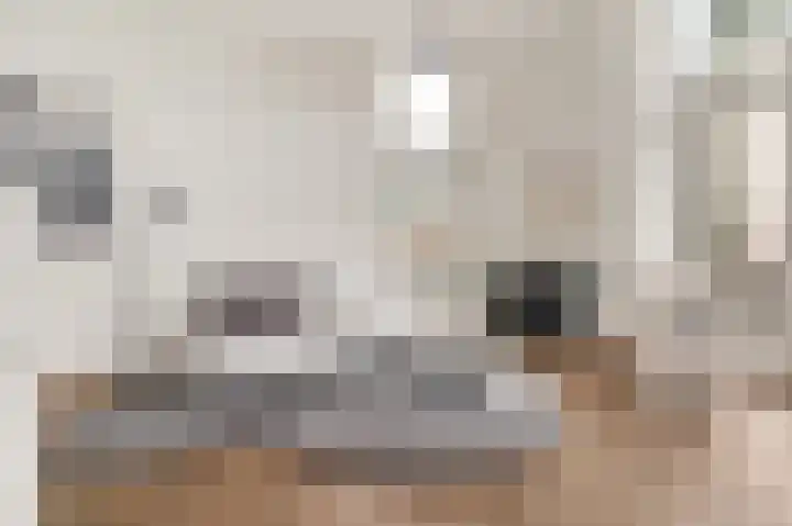 Nicolaas Beetsstraat 168 Utrecht thumbnail 8