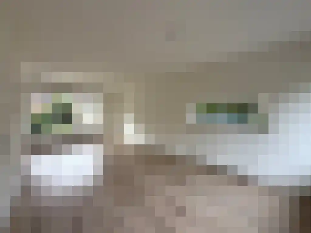 Nicolaas Beetsstraat 18 Harlingen thumbnail 4