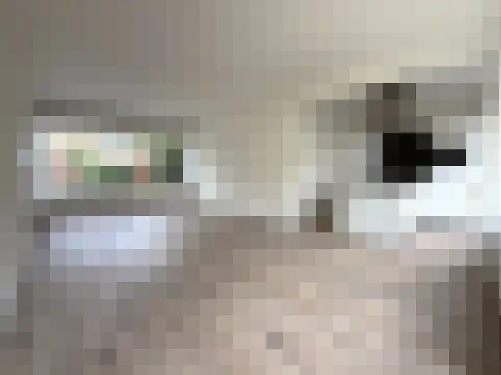 Nicolaas Beetsstraat 18 Harlingen thumbnail 6