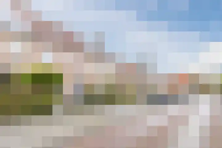 Nicolaas Beetsstraat 19 Bergen op Zoom thumbnail 28